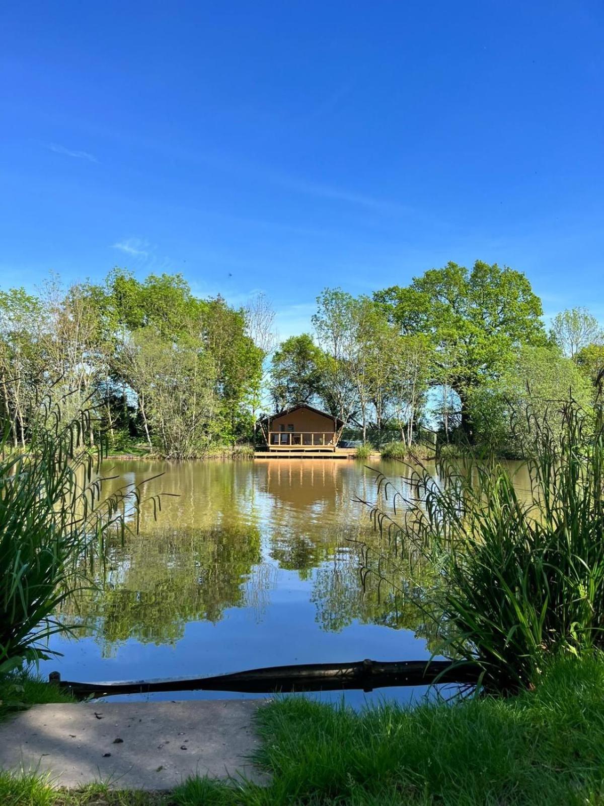 Teal Safari Tent Droitwich Exteriör bild
